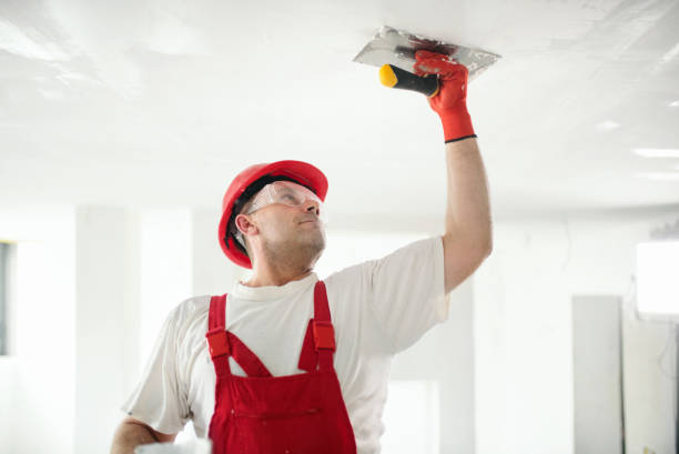 Best Drywall Texturing  in East Stroudsburg, PA